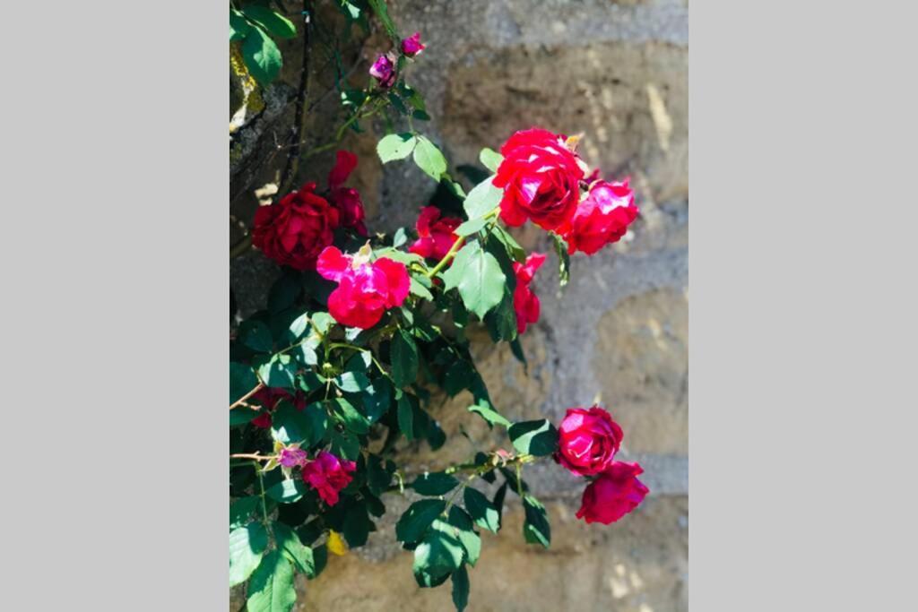 La Campagne Proche De Charleville-Mezieres This Exterior foto